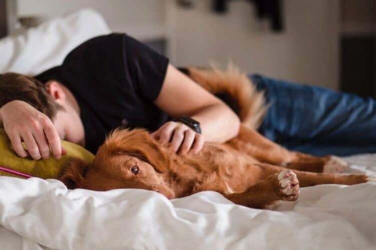 dog laying close to a sleeping man