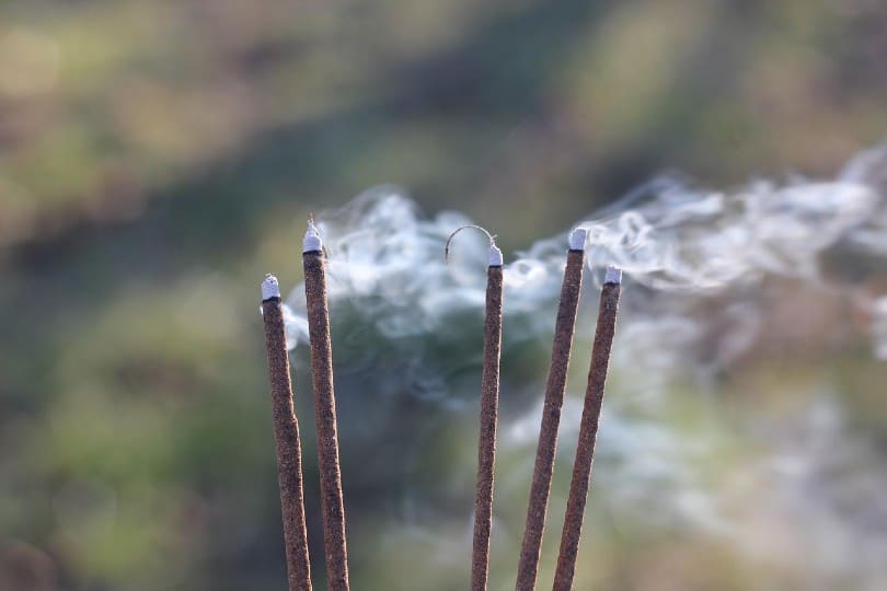 incense sticks lit up