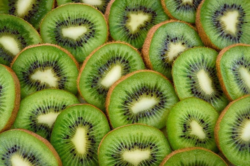 Are Kiwis Good For Dogs What Do I Do If They Eat One Pango Pets are-kiwis-good-for-dogs-what-do-i-do-if-they-eat-one-pango-pets