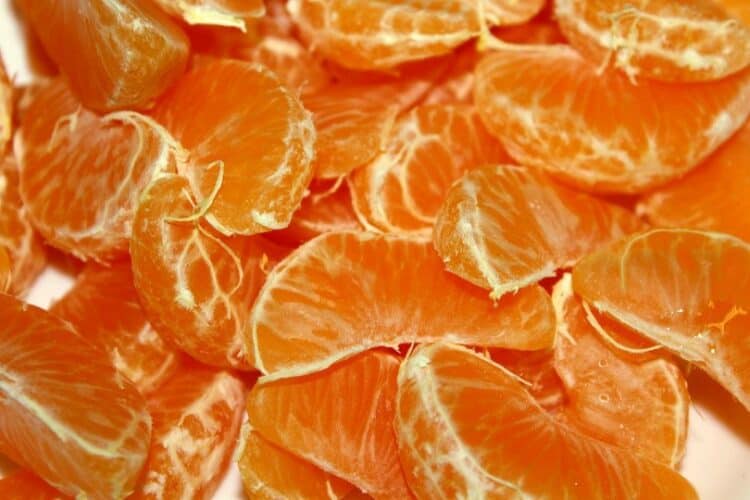 Are Tangerines Good for Dogs? What Do I Do If They Eat One? Pango Pets