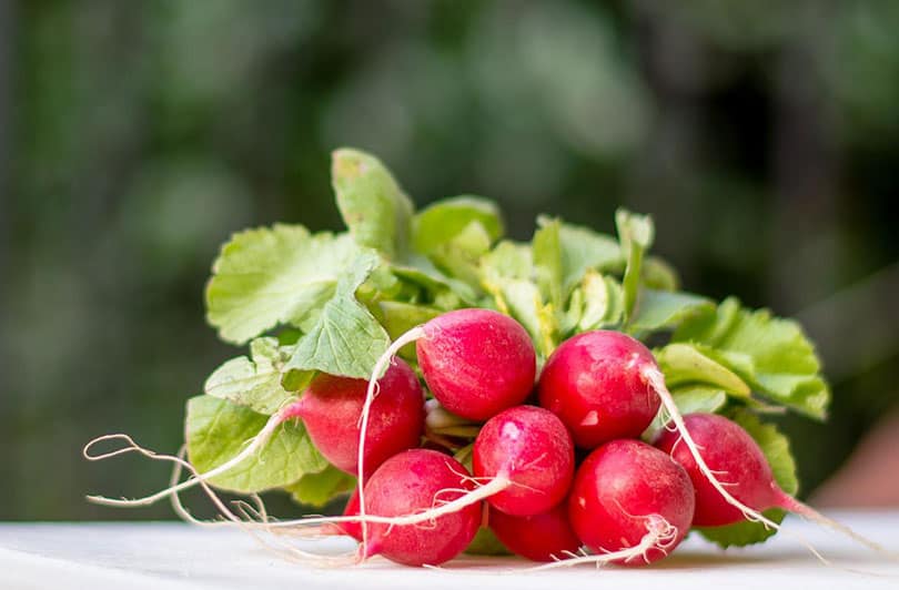 radishes on a table outdoor