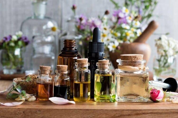 Are Oil Diffusers Safe for Cats? What You Need To Know Pango Pets