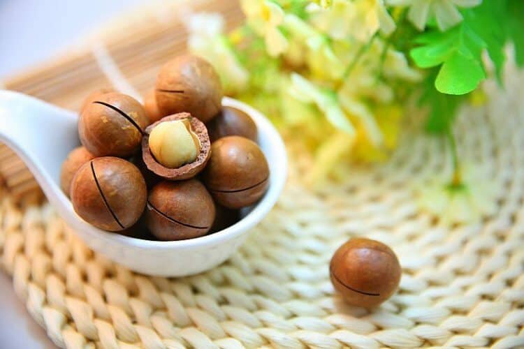 spoonful of macadamia nuts