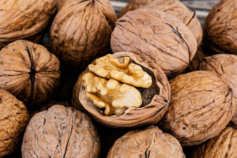Are Walnuts Good for Dogs? What to Do If They Eat One? Pango Pets