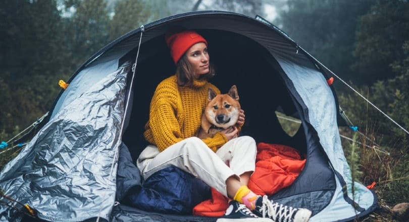 young woman camping in the woods with her pet dog