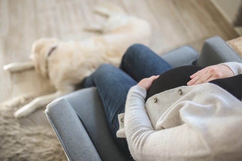 Pregnant woman sitting with dog at her feet