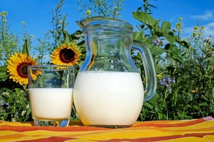 milk outdoor