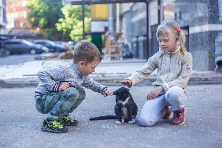 two kids petting a cat on the street
