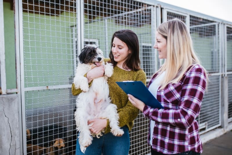 woman adopting a dog from shelter